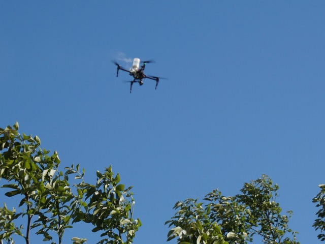 Droni per Agricoltura - Impollinazione Artificiale