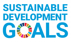 SDG no UN entities
