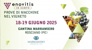 Enovitis 2025