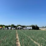 sperimentazione drone cipolla