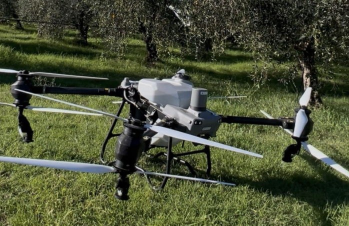 DJI Agras T50 uliveti