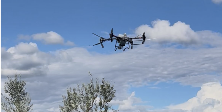 DJI Agras T50 uliveti