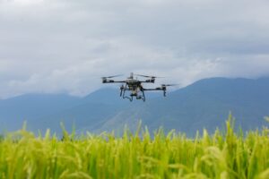 DJI Agras T70p - Rice
