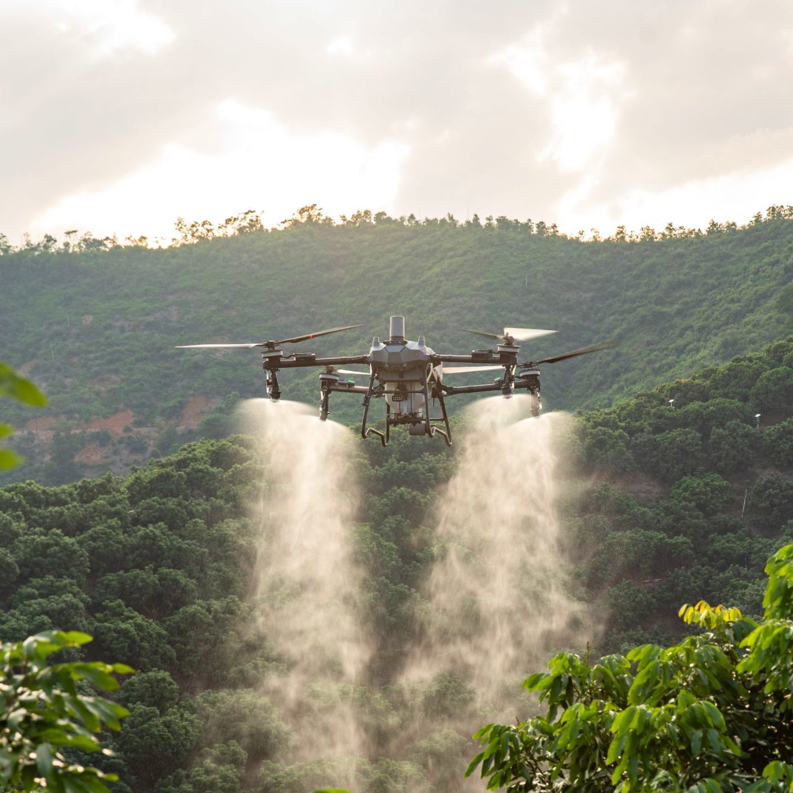 DJI Agras T70P in volo