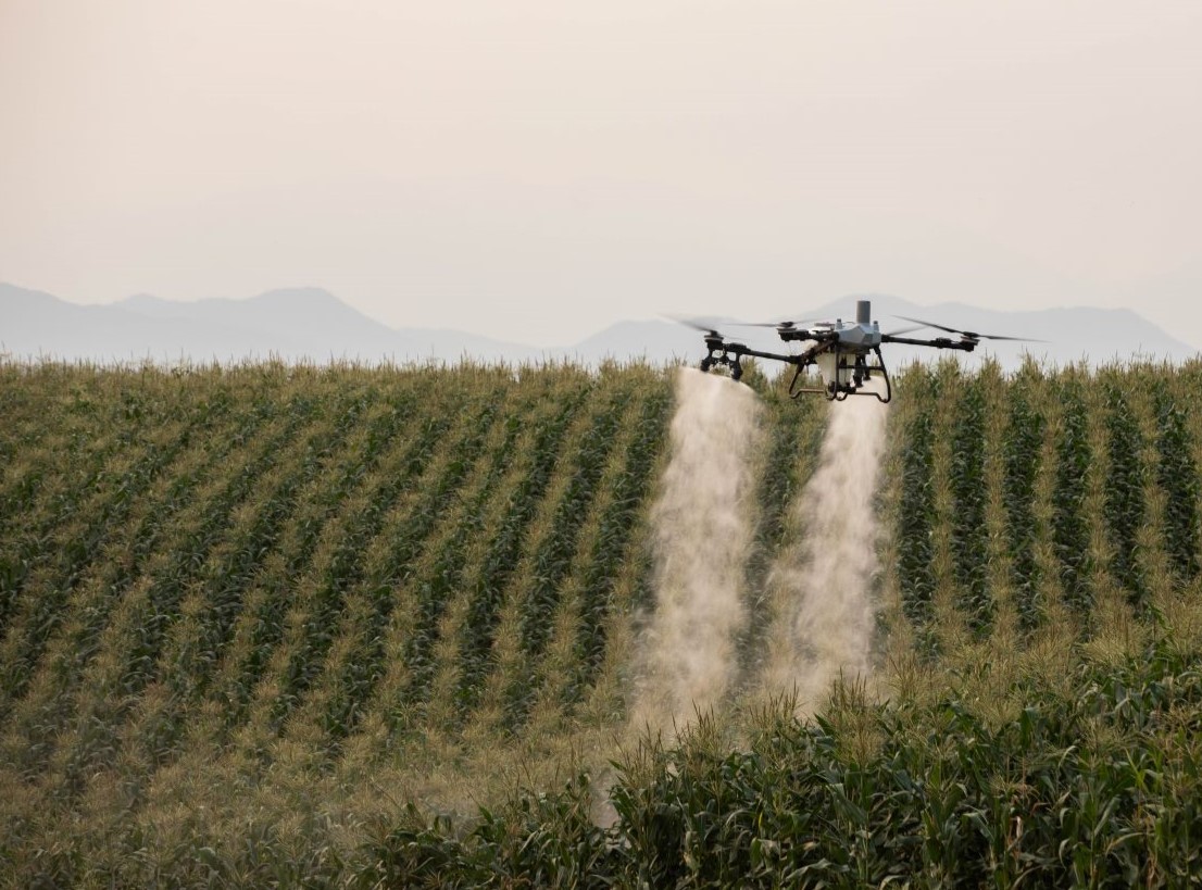 DJI Agras T55 in volo operativo nei campi